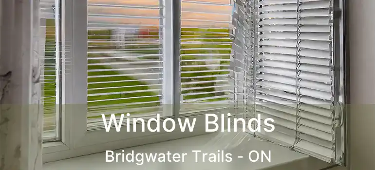  Window Blinds Bridgwater Trails - ON
