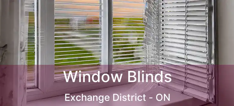  Window Blinds Exchange District - ON