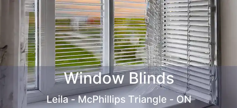  Window Blinds Leila - McPhillips Triangle - ON