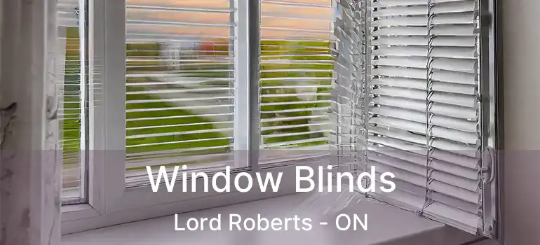  Window Blinds Lord Roberts - ON