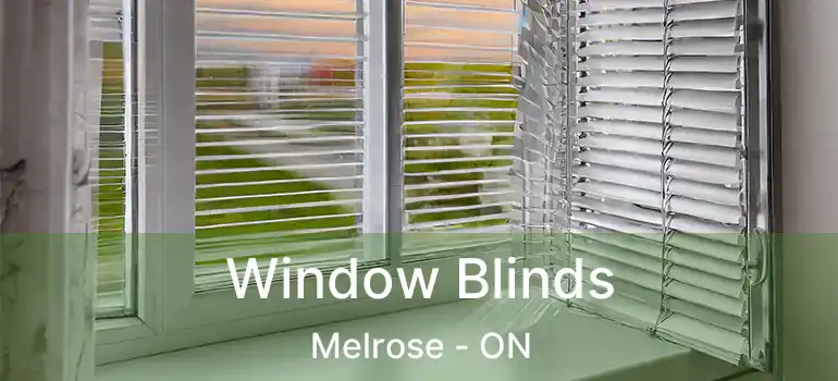  Window Blinds Melrose - ON