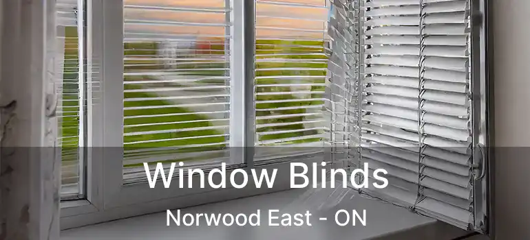  Window Blinds Norwood East - ON