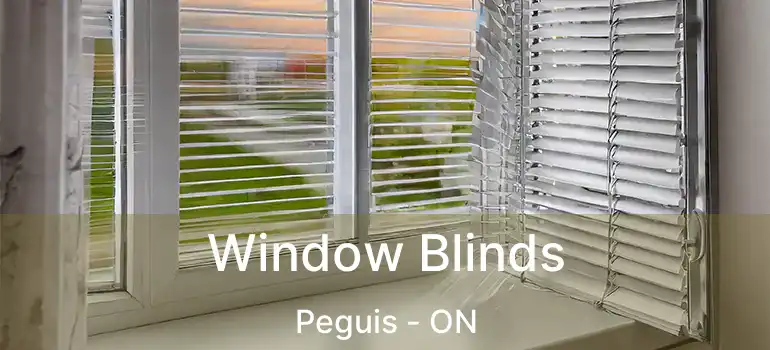  Window Blinds Peguis - ON