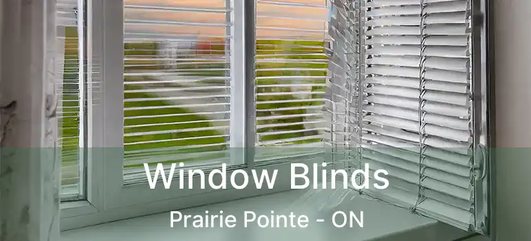  Window Blinds Prairie Pointe - ON