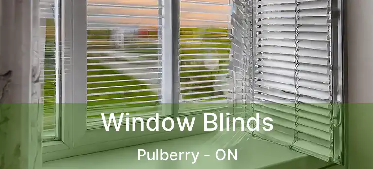  Window Blinds Pulberry - ON
