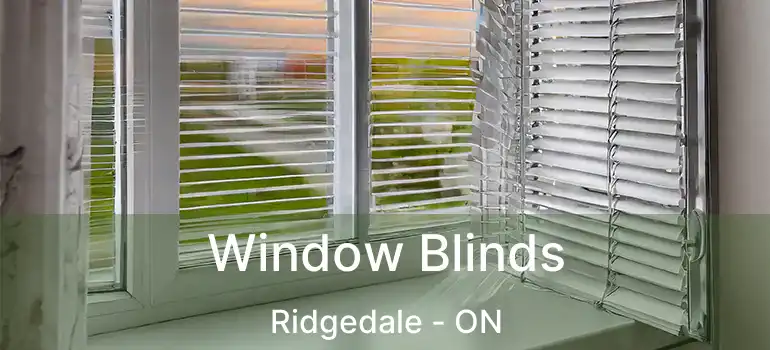  Window Blinds Ridgedale - ON
