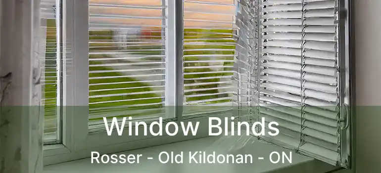  Window Blinds Rosser - Old Kildonan - ON