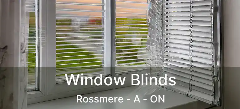  Window Blinds Rossmere - A - ON
