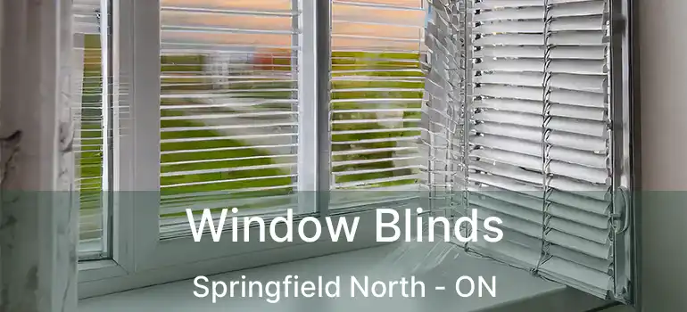  Window Blinds Springfield North - ON