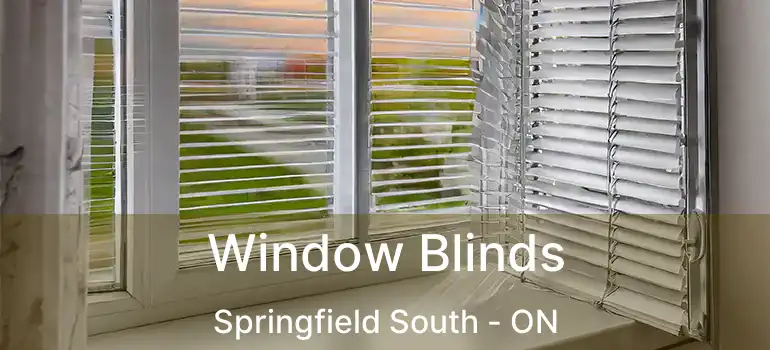  Window Blinds Springfield South - ON