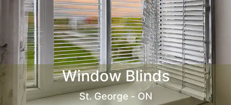  Window Blinds St. George - ON