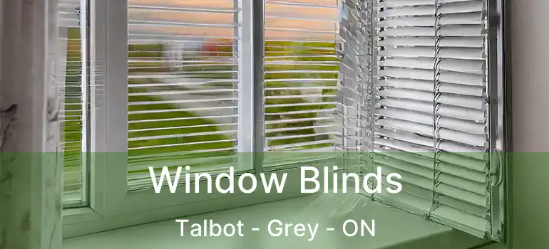  Window Blinds Talbot - Grey - ON
