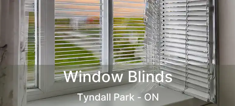  Window Blinds Tyndall Park - ON
