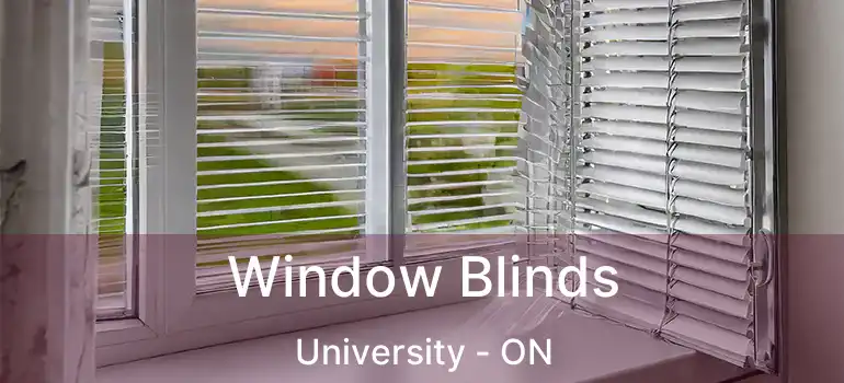  Window Blinds University - ON