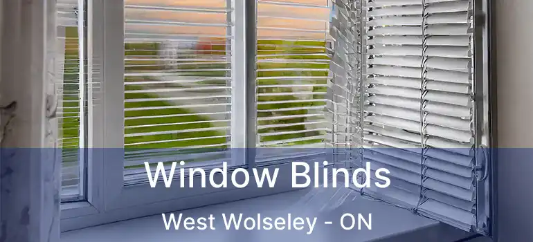  Window Blinds West Wolseley - ON