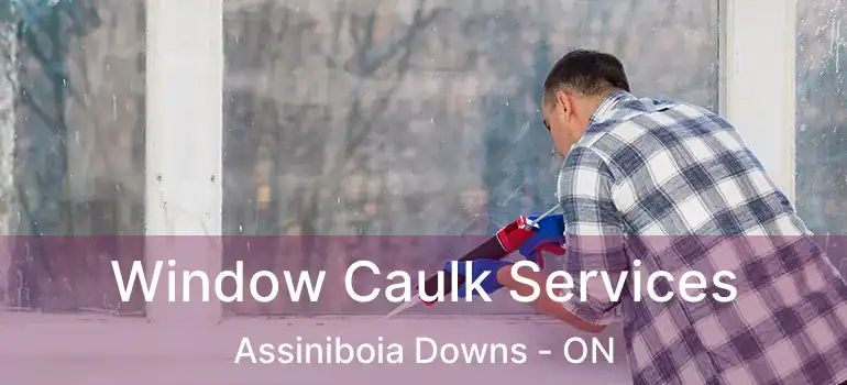  Window Caulk Services Assiniboia Downs - ON