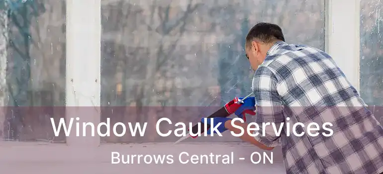  Window Caulk Services Burrows Central - ON
