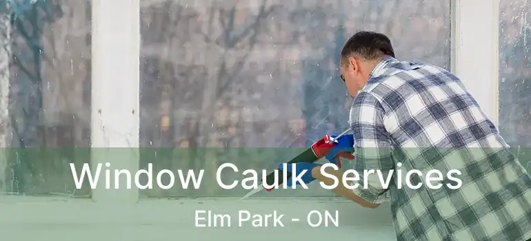  Window Caulk Services Elm Park - ON