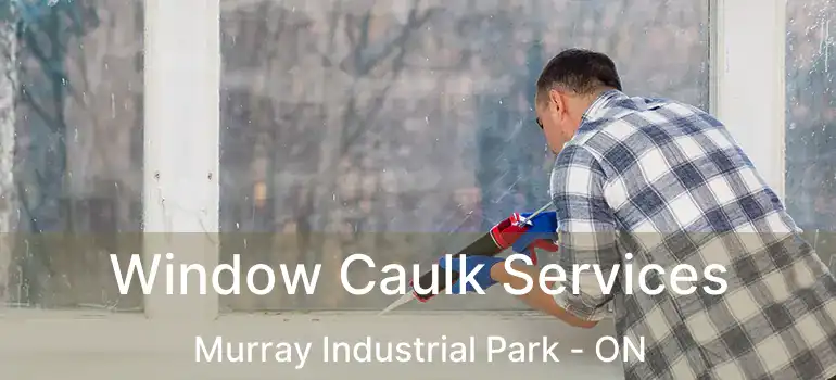  Window Caulk Services Murray Industrial Park - ON