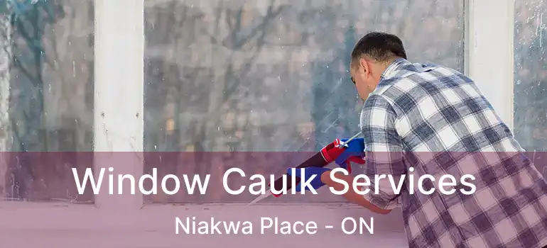  Window Caulk Services Niakwa Place - ON
