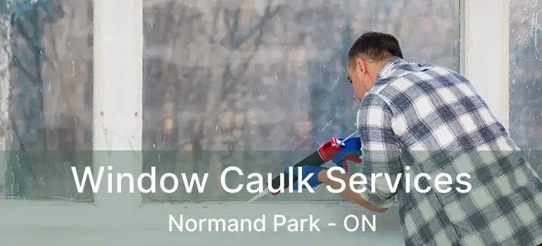  Window Caulk Services Normand Park - ON