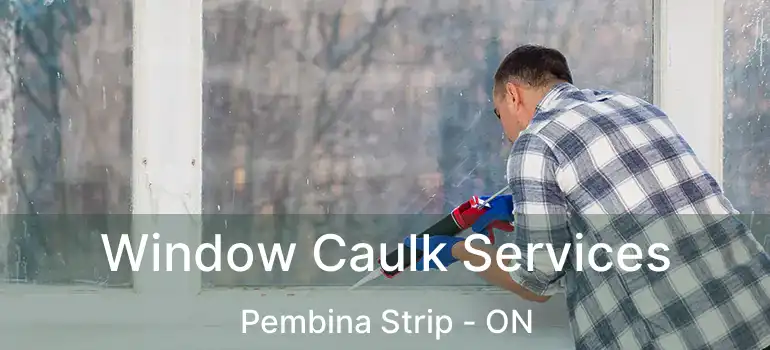  Window Caulk Services Pembina Strip - ON