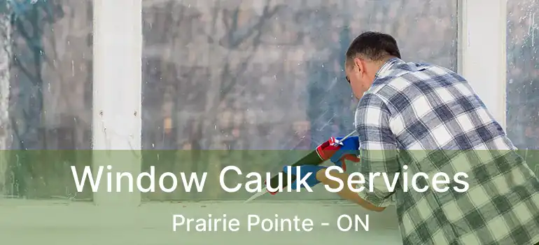  Window Caulk Services Prairie Pointe - ON