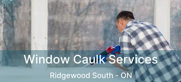  Window Caulk Services Ridgewood South - ON