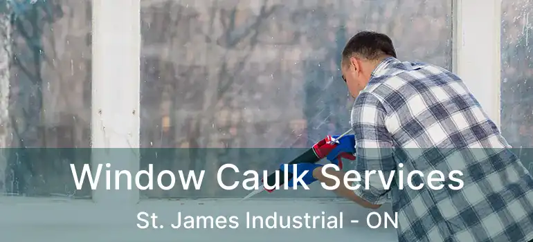  Window Caulk Services St. James Industrial - ON