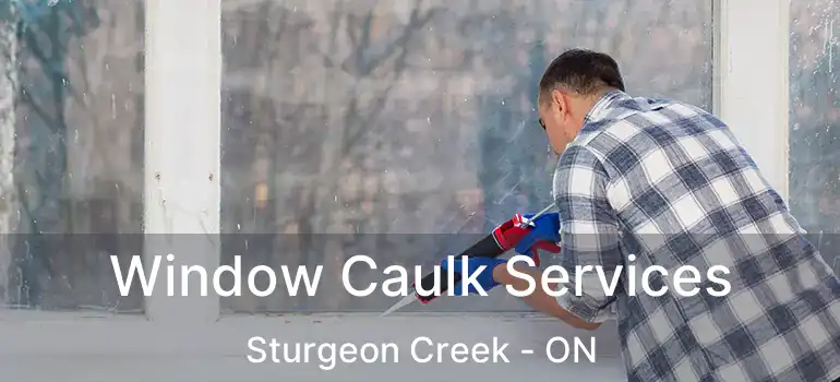  Window Caulk Services Sturgeon Creek - ON