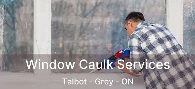  Window Caulk Services Talbot - Grey - ON