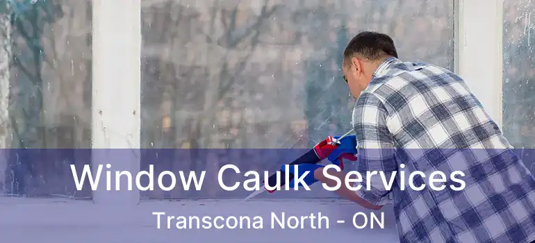  Window Caulk Services Transcona North - ON