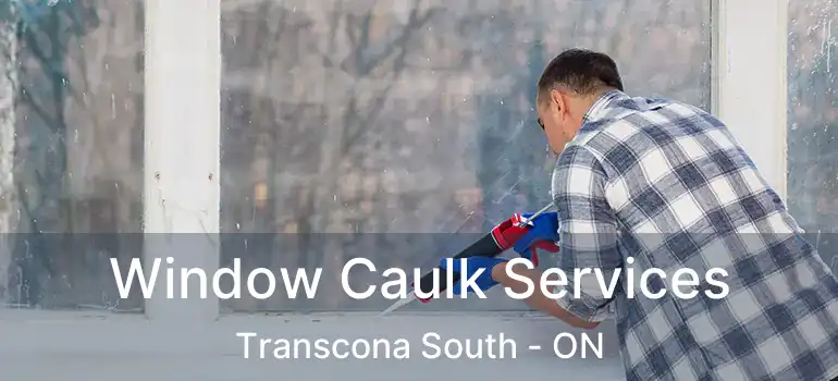  Window Caulk Services Transcona South - ON