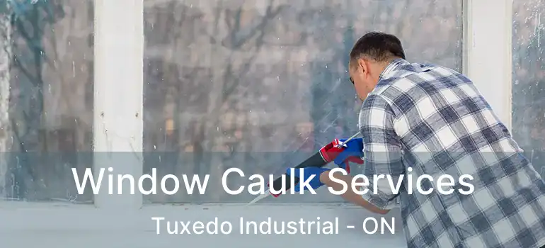  Window Caulk Services Tuxedo Industrial - ON