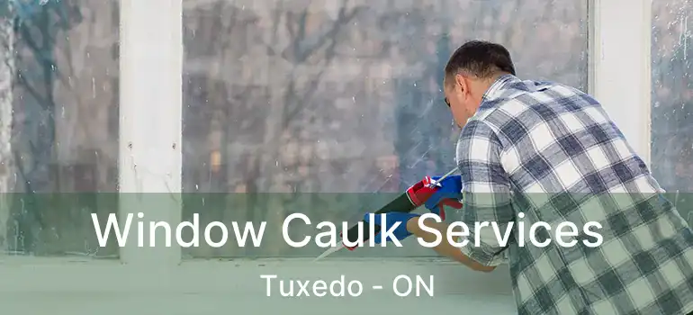 Window Caulk Services Tuxedo - ON