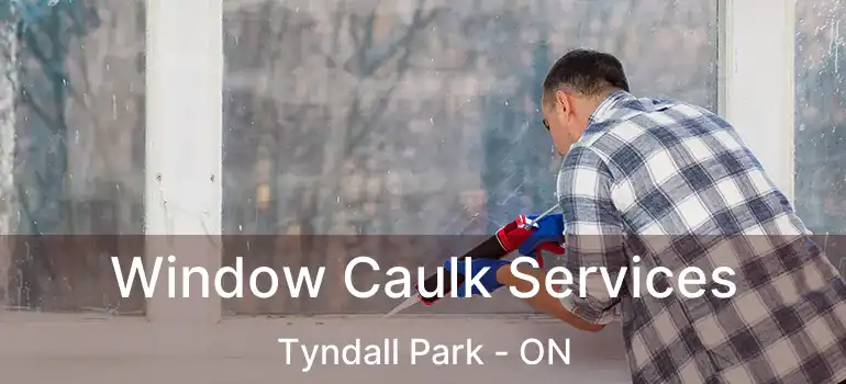  Window Caulk Services Tyndall Park - ON