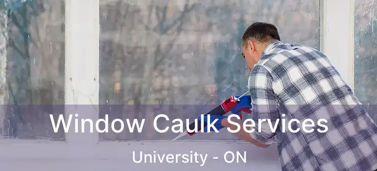  Window Caulk Services University - ON