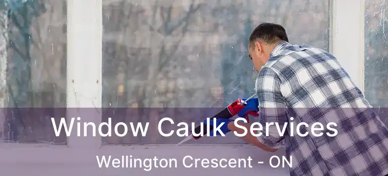  Window Caulk Services Wellington Crescent - ON