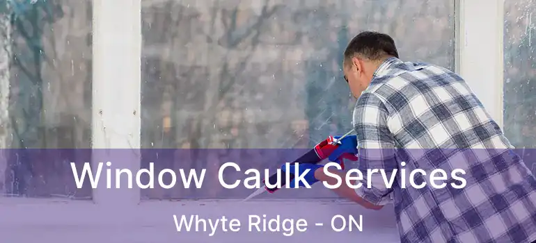  Window Caulk Services Whyte Ridge - ON