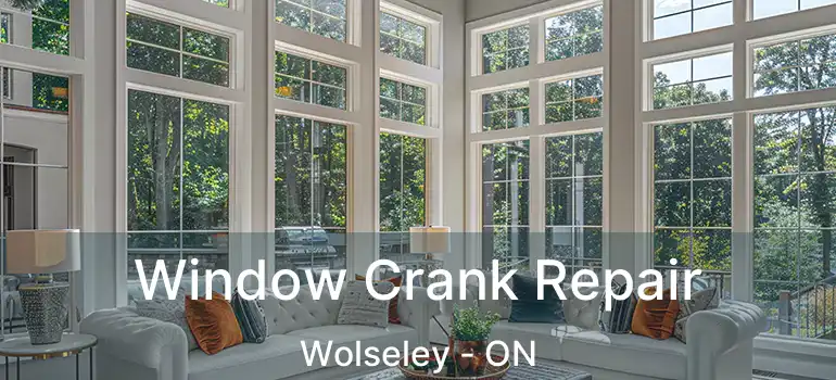  Window Crank Repair Wolseley - ON