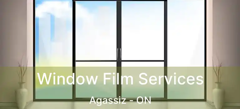  Window Film Services Agassiz - ON