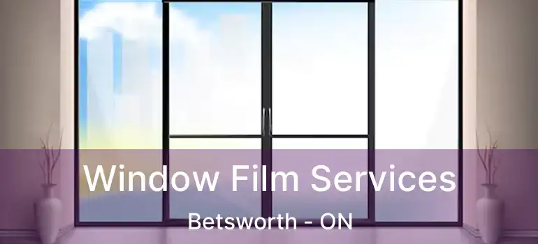  Window Film Services Betsworth - ON