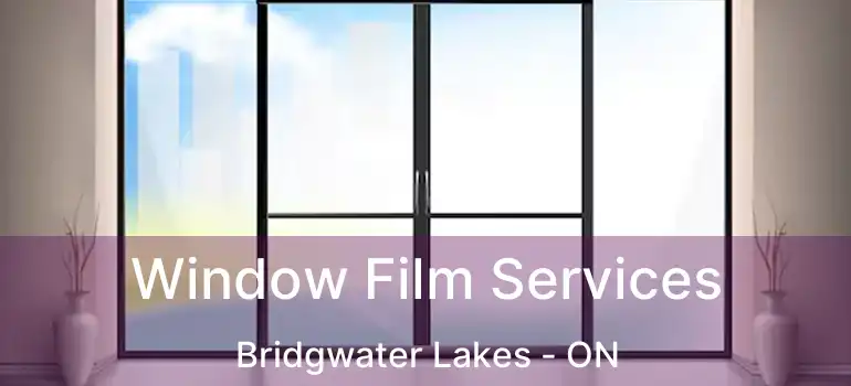  Window Film Services Bridgwater Lakes - ON