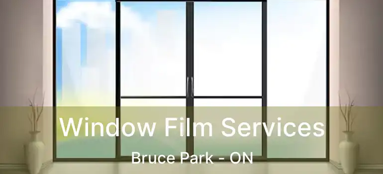  Window Film Services Bruce Park - ON