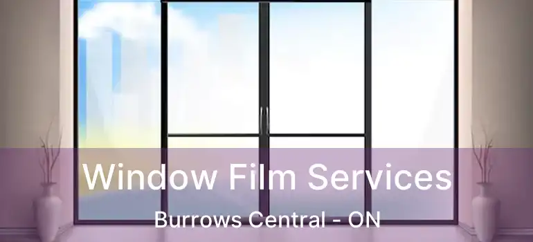  Window Film Services Burrows Central - ON