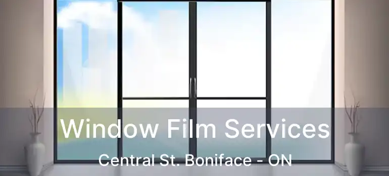  Window Film Services Central St. Boniface - ON