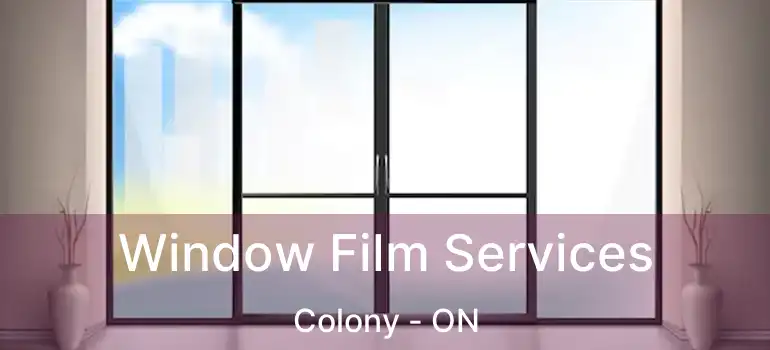  Window Film Services Colony - ON