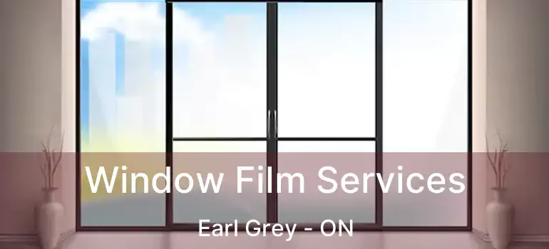  Window Film Services Earl Grey - ON