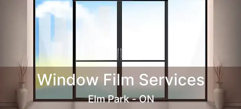  Window Film Services Elm Park - ON
