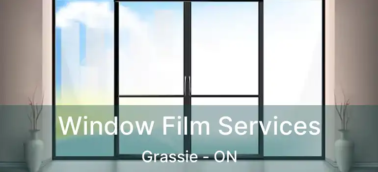  Window Film Services Grassie - ON